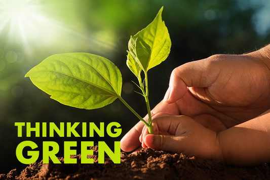 Thinking Green: How Can Your Family Help the Environment?